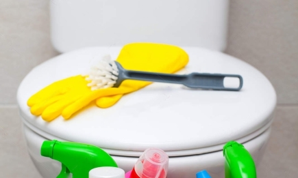 Очистить унітаз за секунди та практично задарма: дієвий очищувач своїми руками