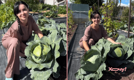 Блогерка показала врожай гігантської капусти: 4 секрети вирощування