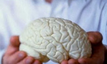 Нестареющий мозг – это возможно?