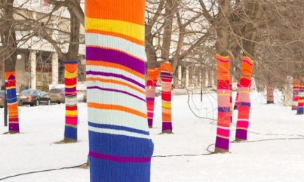 Киевские деревья одели в разноцветные вязаные вещи
