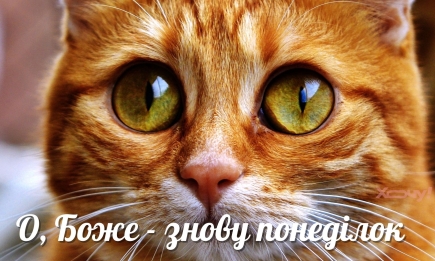 Найважчий день чи новий старт? Чому понеділок вважають найпродуктивнішим днем тижня