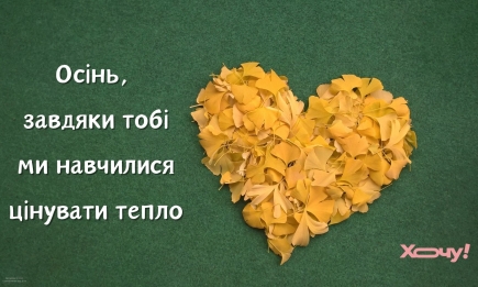 Осінь, ми сумуватимемо за тобою: красиві картинки про останній осінній день