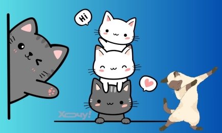 Котики — справжня медицина для людської душі: наймиліші фото муркотиків