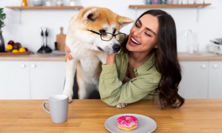 Смачно, але чи безпечно? Які продукти з людського столу можна (і не можна) давати собаці