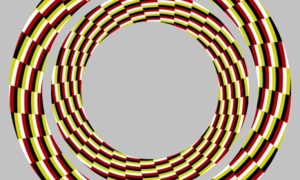 Оптическая иллюзия раскроет вашу одаренность - увидеть могут только единицы