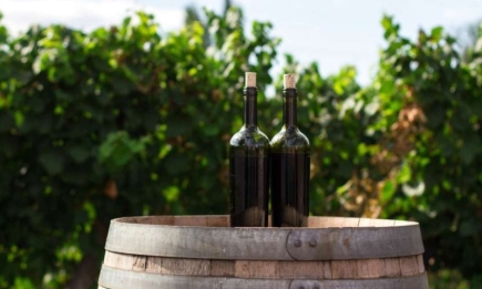 Как приготовить домашнее вино из винограда (РЕЦЕПТ)