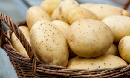 Долежит до весны даже в квартире: как правильно хранить картошку