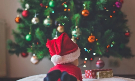 Планируйте праздник без новогодней красавицы: почему живая елка опасна для ребенка
