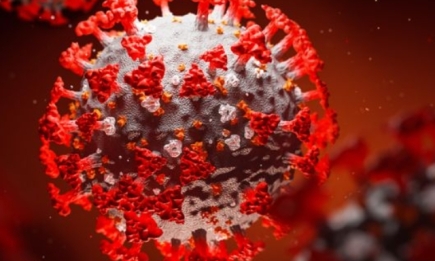 Ученые выявили новые особенности коронавируса, которые вас шокируют