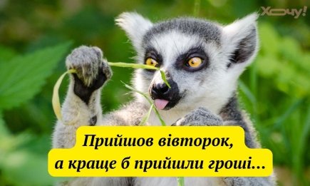 "Не драматизируй, это всего лишь вторник": лучшие приколы и жизненные мемы о тяжелых рабочих буднях