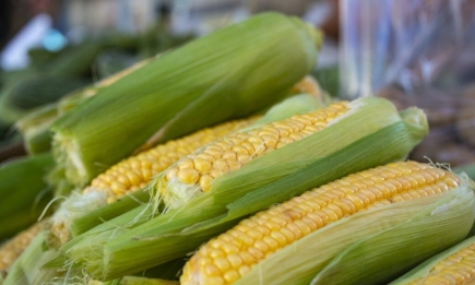 Початки или зерна: известно, как лучше заморозить кукурузу на зиму