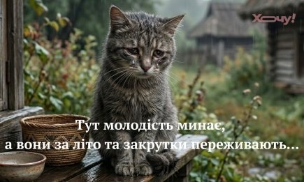 День молодежи 2026: шутки, мемы и анекдоты, которые близки каждому