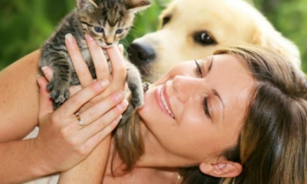 Исследователи поделили мир на любителей кошек и собак