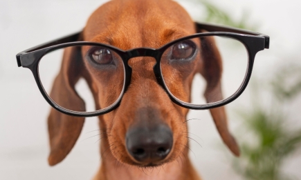 Есть вопрос: как защитить очки от запотевания?