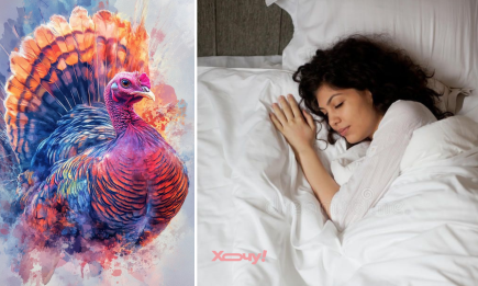 Сонник: індик нападає, а ви тікаєте? Ось як тлумачать цей сон Ванга, Нострадамус, Фрейд та інші езотерики