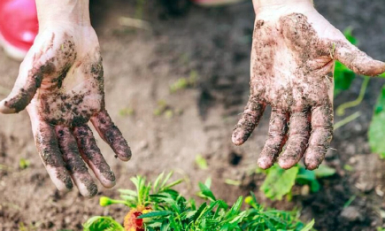 Ідеальний манікюр після городу, саду, дачі: 4 способи зберегти нігті доглянутими