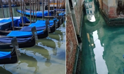 Венеция без туристов переродилась: кристально чистое дно, рыбки и свежий воздух