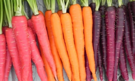 Немає льоху  - не біда! 4 способи зберегти моркву у квартирі так, щоб вона не згнила і не всохлася
