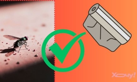 Як позбутися мух у будинку? Простий лайфхак із фольгою, про який знають лише досвідчені господині