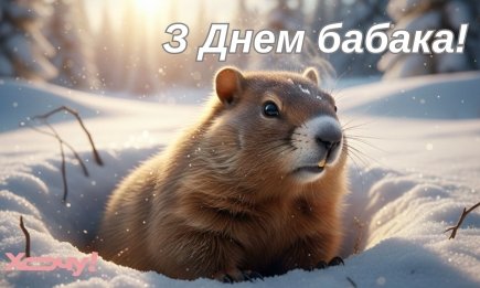 Мало кто знает, как поздравить с Днем сурка оригинально: подборка открыток и поздравлений, привлекающих весну