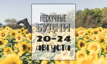 Нескучные будни: чем заняться на неделе 20-24 августа в Киеве