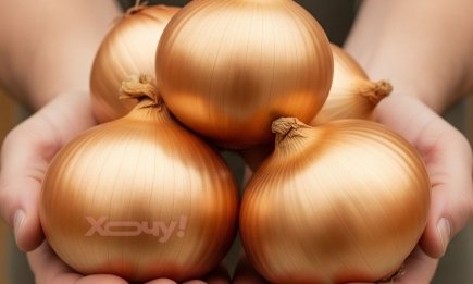 Эти сорта вырастут даже у ленивых: 5 самых устойчивых видов озимого лука, которые не боятся морозов