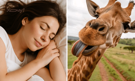 Приснился жираф? Вот как толкуют сновидения Ванга, Нострадамус и другие известные провидцы