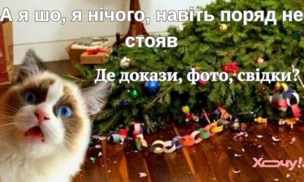 Кіт - це останнє, що бачить новорічна іграшка перед смертю: меми та потішні картинки про новорічне дерево і пухнастиків (ФОТО)