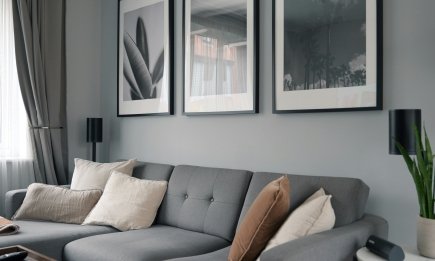 Какой цвет стен делает дом холодным и бездушным – и что выбрать взамен