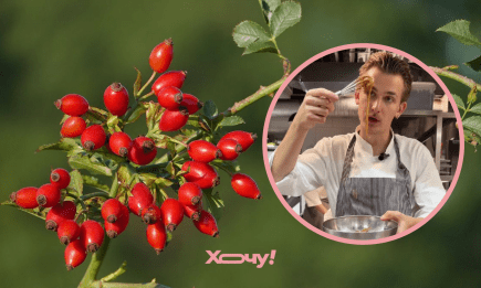 Сироп, варенье и даже деликатесный соус: шеф рассказал, что можно приготовить из шиповника (ВИДЕО)