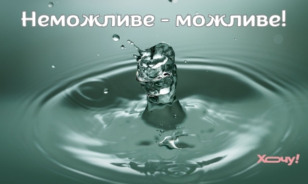 Свято тих, хто контролює ситуацію посеред цілковитого хаосу: з Днем пастухів котів