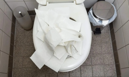 Смывать или выбрасывать в ведро? Какая туалетная бумага уничтожает ваши трубы, а какая — безопасная