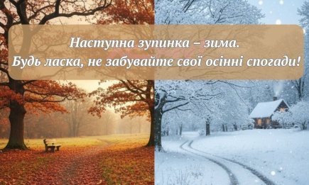 Слова, которые тронут за живое. Мудрые цитаты, которые помогут достойно попрощаться с осенью и встретить зиму