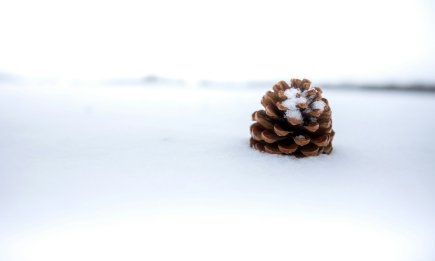 Синоптики предупреждают о резкой зимней смене: что происходит со снегом и когда ждать настоящего холода