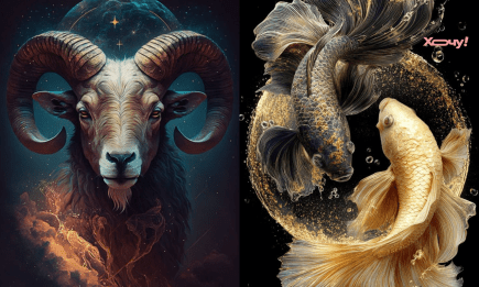 Зодиакальный март — Рыбы против Овнов: кто из них лучший друг, и кто умеет зарабатывать больше денег