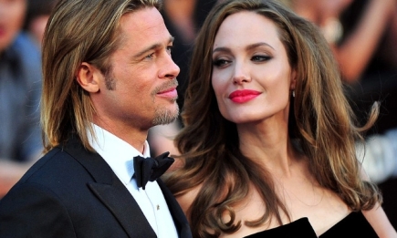 Анджелина Джоли намерена избавиться от общего бизнеса со своим экс-супругом Брэдом Питтом