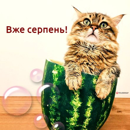 С начала августа — хорошие поздравления и праздничные картинки