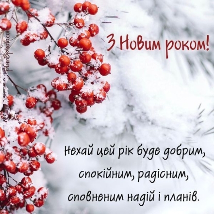 С Новым 2024 годом! Самые красивые стихи и открытки — на украинском языке - фото №5