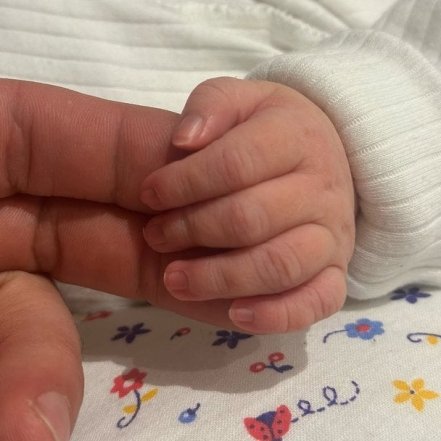 Какие украинские звезды стали родителями в 2025 году, фото