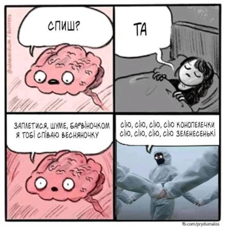 Подборка мемов о режиме дня и сне