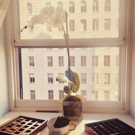 Біла орхідея у прозорому скляному горщику на підвіконні