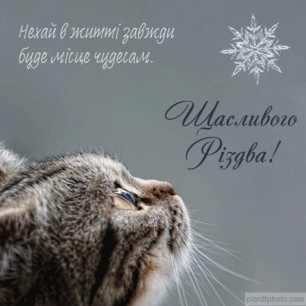 С Новым годом 2024 года! Лучшие новогодние поздравления для коллег на украинском языке - стихи и открытки - фото №4