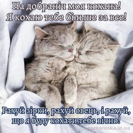 Как пожелать спокойной ночи девушке