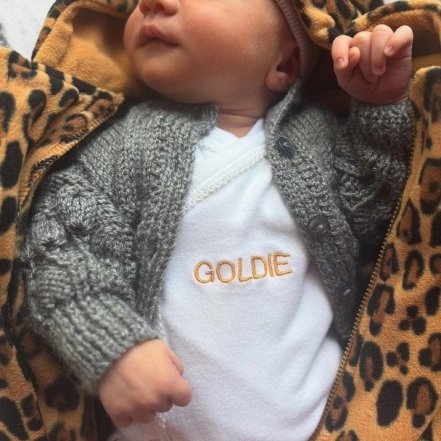 Руперт Гринт во второй раз стал отцом