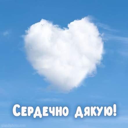 День благодарения 2024: самые красивые слова благодарности и открытки — на украинском - фото №17