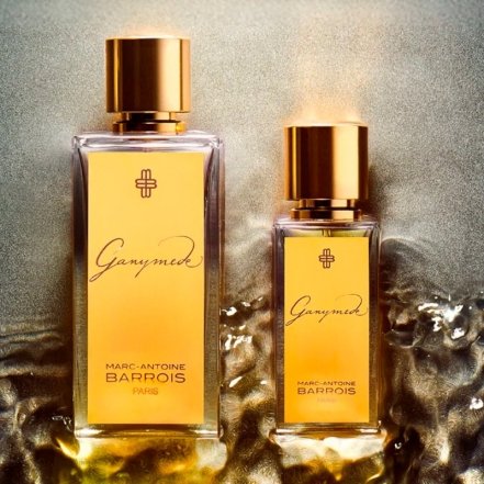 Marc-Antoine Barrois Ganymede, фото