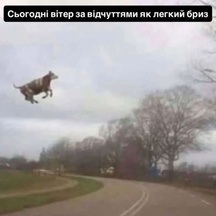 Мемы и шутки о погоде