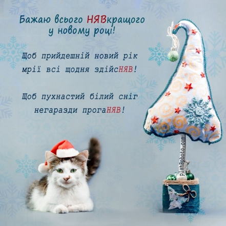 Смішні привітання з Новим Роком 2024 для тих, хто не уявляє життя без жартів - фото №4