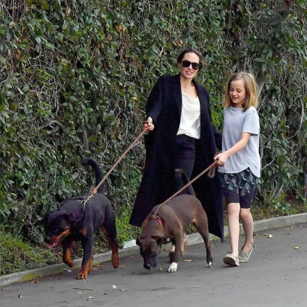 "Кто кого выгуливает?": новые фото Анджелины Джоли вызвали осуждения поклонников - фото №3