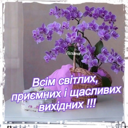 Фиолетовая орхидея, фото